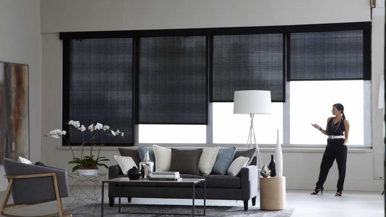 How Ryse Automates Window Shades for Ultimate Convenience